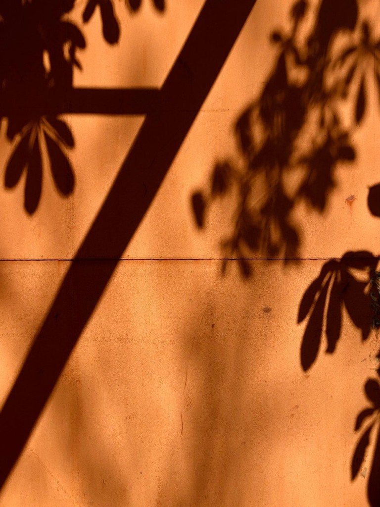 Shadow Play